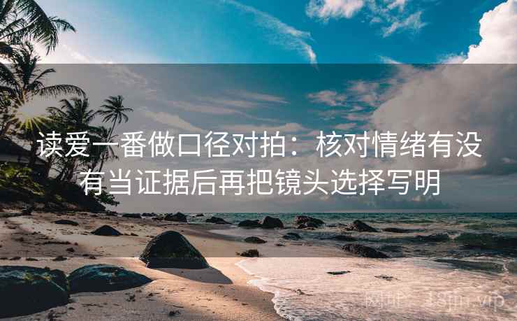 读爱一番做口径对拍：核对情绪有没有当证据后再把镜头选择写明