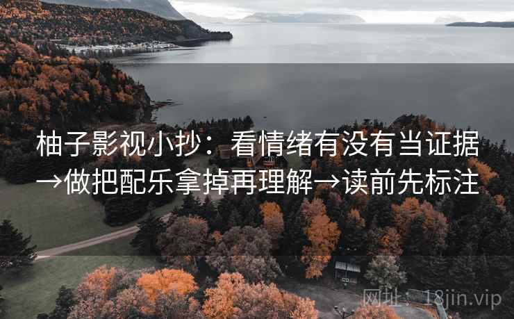 柚子影视小抄：看情绪有没有当证据→做把配乐拿掉再理解→读前先标注
